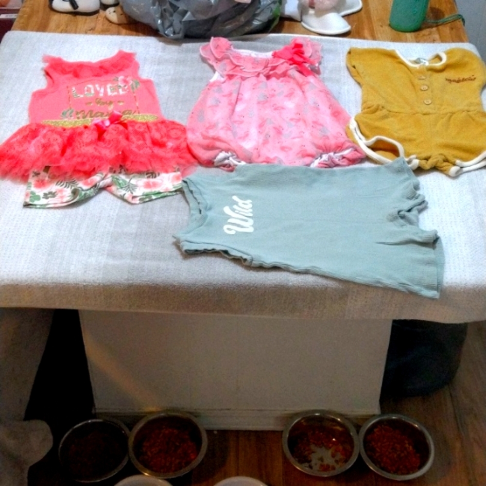 Size 6-9 mo outfits